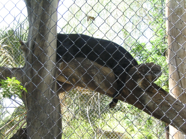 618x457 pixels (274K)